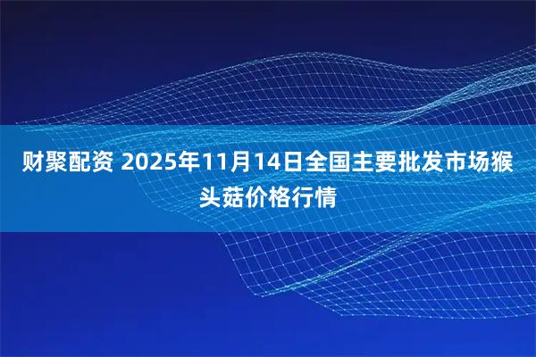 财聚配资 2025年11月14日全国主要批发市场猴头菇价格行情