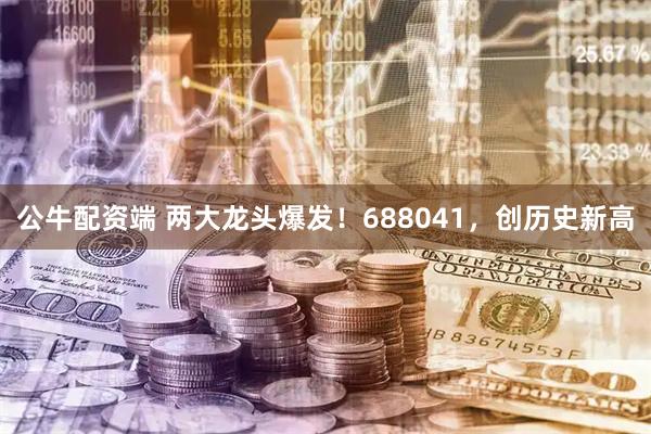 公牛配资端 两大龙头爆发！688041，创历史新高