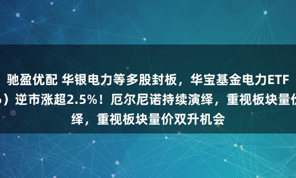 驰盈优配 华银电力等多股封板,华宝基金电力ETF(159146)逆市涨超2.5%!厄尔尼诺持续演绎,重视板块量价双升机会